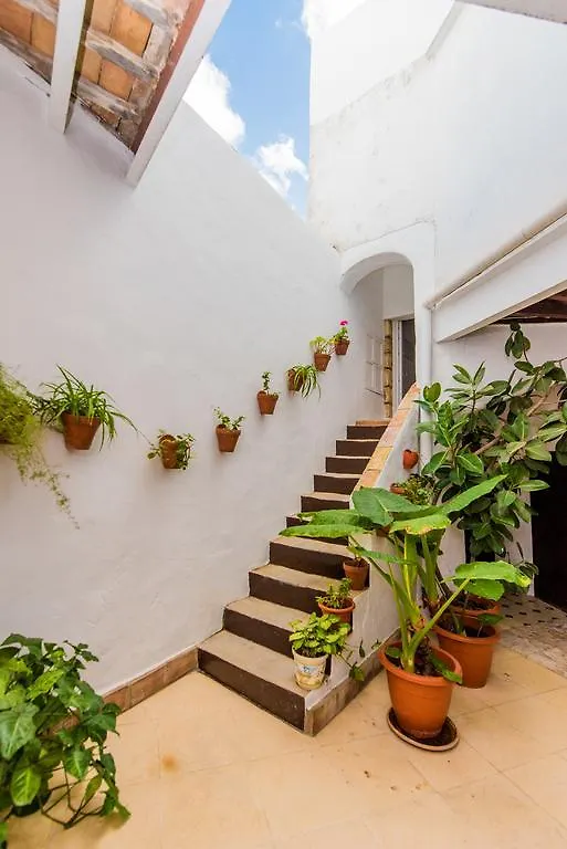 Casa Bodega Triana Apartment Vejer de la Frontera Spain