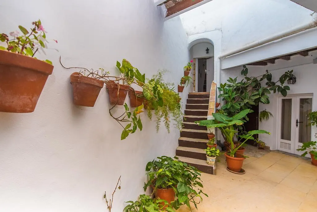 Casa Bodega Triana Apartment Vejer de la Frontera Spain